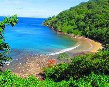 Image result for Isla Coco Qui