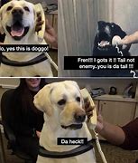 Image result for Smart Doggo