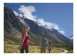 Image result for NZ Alpine Ground Cover