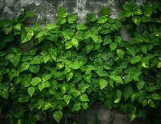 Image result for Generative Ai Wall Design