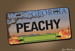 Image result for Georgia License Plates Designs