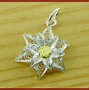 Image result for Edelweiss Jewelry