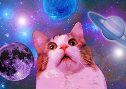 Image result for Space Cat Meme