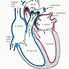 Image result for Sketchy Heart