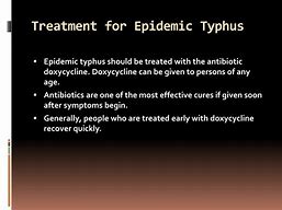 Image result for Epidemic Typhus