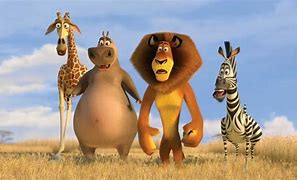 Image result for Madagascar 12