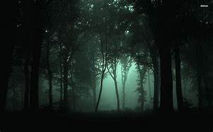 Image result for Dark Forest Night