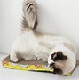 Image result for Cat Scratching Pads