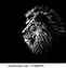 Image result for Lion Water Face