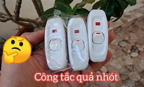 Image result for Công Tắc Quả Nhót