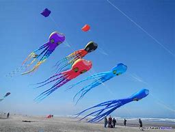 Image result for Inflatable Kite Cat