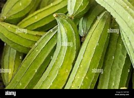 Image result for Ripe Okra