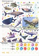 Image result for National Geographic Kids Sharks