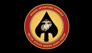 Image result for MARSOC Logo