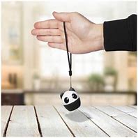 Image result for Panda Speaker