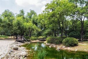 Image result for Siniloan Forest Park