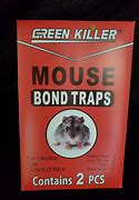 Image result for Glue Mouse Traps That Work