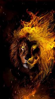 Image result for Leo Zodiac Symbol Wallpaper