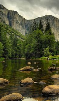 Image result for Nature Photography iPhone Wallpaper