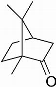 Image result for Camphor Chemical Structure