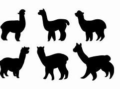 Image result for Alpaca Vector