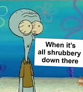 Image result for Squidward Meme Gift