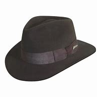 Image result for Indiana Jones Hat