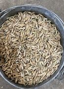 Image result for Ground Oats