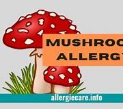 Image result for Mushroom Allergy