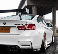 Image result for Drip Cat in BMW M4 PFP