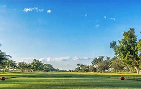 Image result for HD Images of Florida Golf