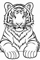 Image result for Tiger Sketch Outline