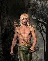 Image result for Male Elf Fighter