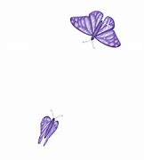 Image result for Purple Rose with Butterfly GIF