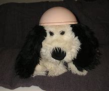 Image result for dog motorcycle helmet safety