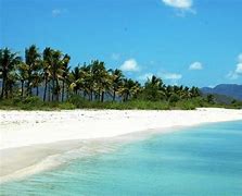 Image result for Gili Idan