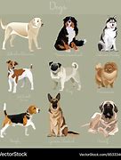 Image result for Big Fighting Dogs