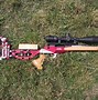 Image result for Palma Match Rifle