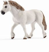 Image result for Beige Welsh Pony