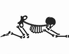 Image result for Silly Funny Skeleton