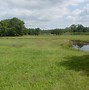 Image result for Grassland Environment