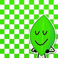 Image result for Leafy BFDI PFP