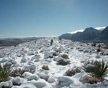 Image result for Mojave Desert Rain