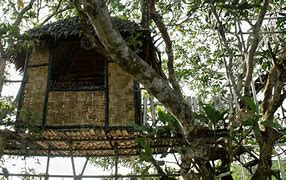 Image result for Bamboo Hut Decor