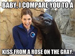 Image result for Crazy Sea Lion Meme