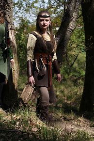 Image result for Medieval Elf Costumes