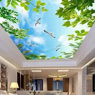 Image result for 3D Ceiling Murals