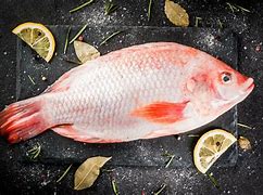 Image result for Red Tilapia Fish