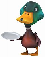 Image result for Duck Anmation