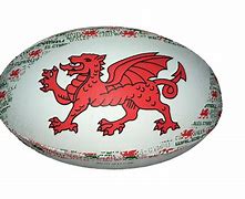 Image result for Welsh Rugby Ball